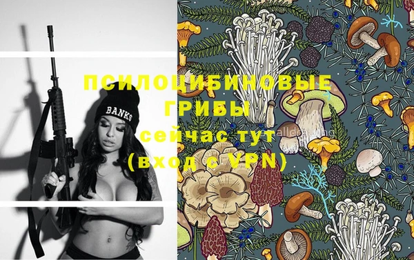 ГАЛЛЮЦИНОГЕННЫЕ ГРИБЫ Абинск